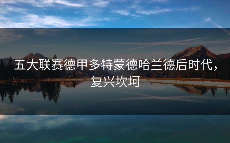 五大联赛德甲多特蒙德哈兰德后时代，复兴坎坷